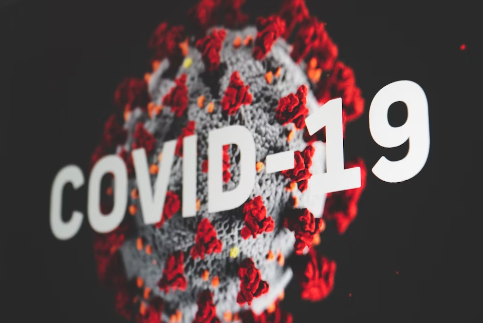 pandemi covid-19