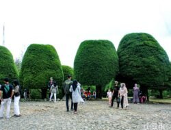 Wisata Bukit Jamur Rancabolang: Keindahan Alam yang Unik