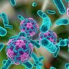 Kasus Hepatitis A di Eropa Meningkat Tajam, Otoritas Kesehatan