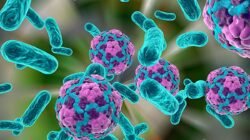 Hepatitis A