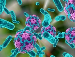 Kasus Hepatitis A di Eropa Meningkat Tajam, Otoritas Kesehatan